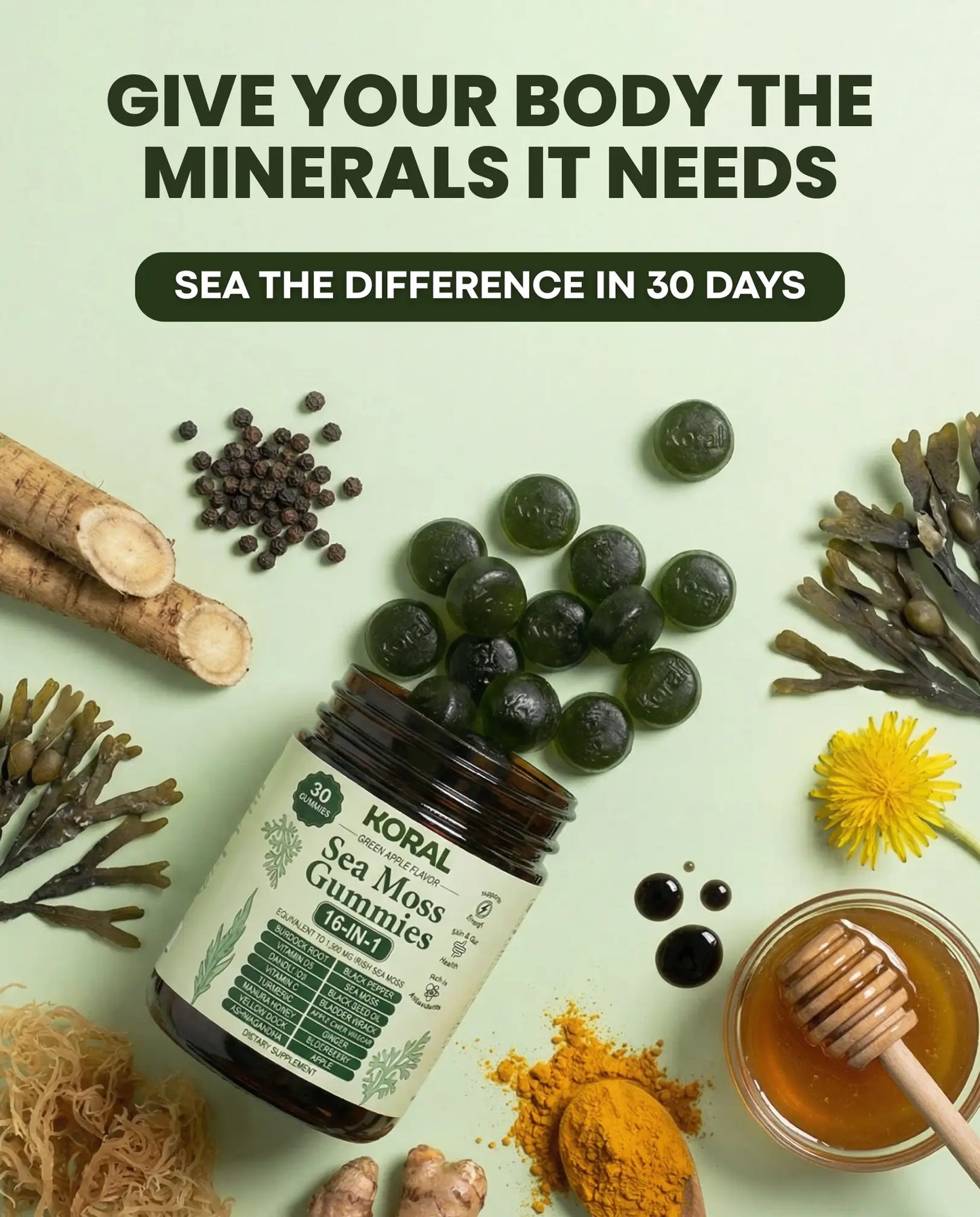 KORAL™ SEA MOSS GUMMIES